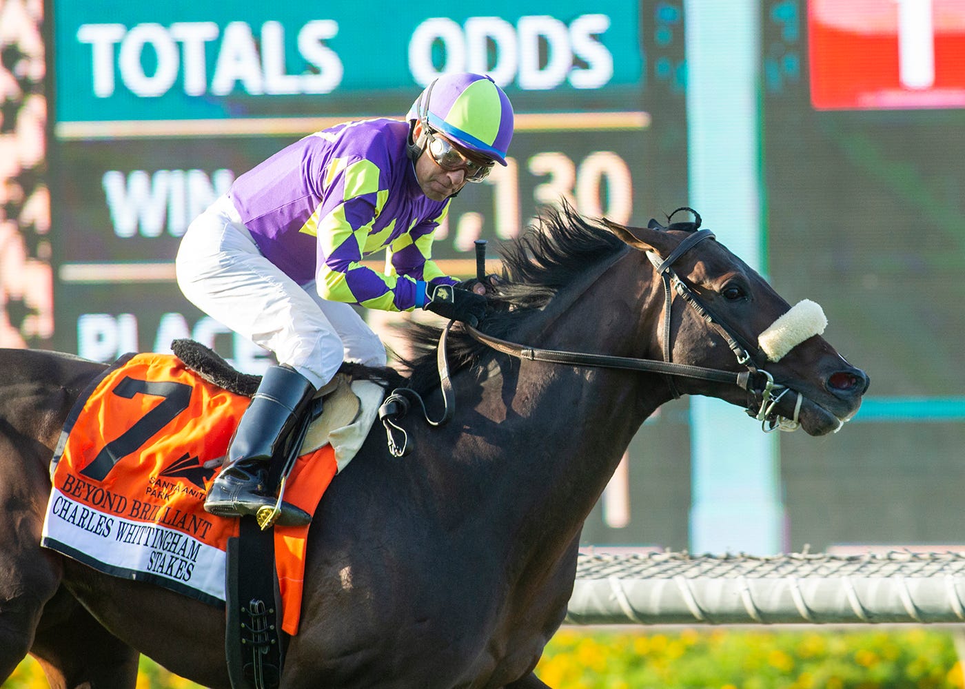 Santa Anita Fall Meet Opens With Stakes Gratification Delayed To Weekend Santa Anita Fall Meet Opens With Stakes Gratification Delayed To Weekend